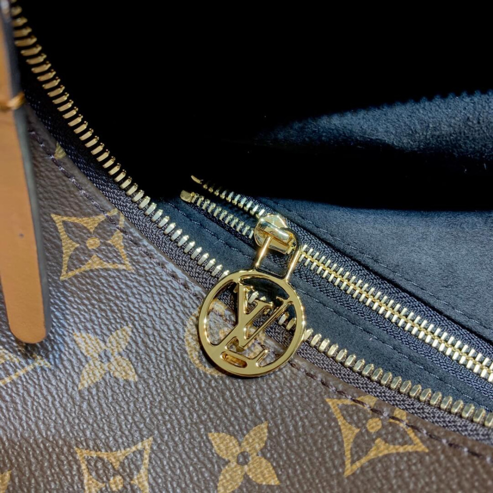 Louis Vuitton Monogram Loop Hobo Bag M46311 Louis Vuitton Monogram Loop Hobo Bag M46311