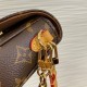 Louis Vuitton Ivy Wallet On Chain Bag M81911 Louis Vuitton Ivy Wallet On Chain Bag M81911