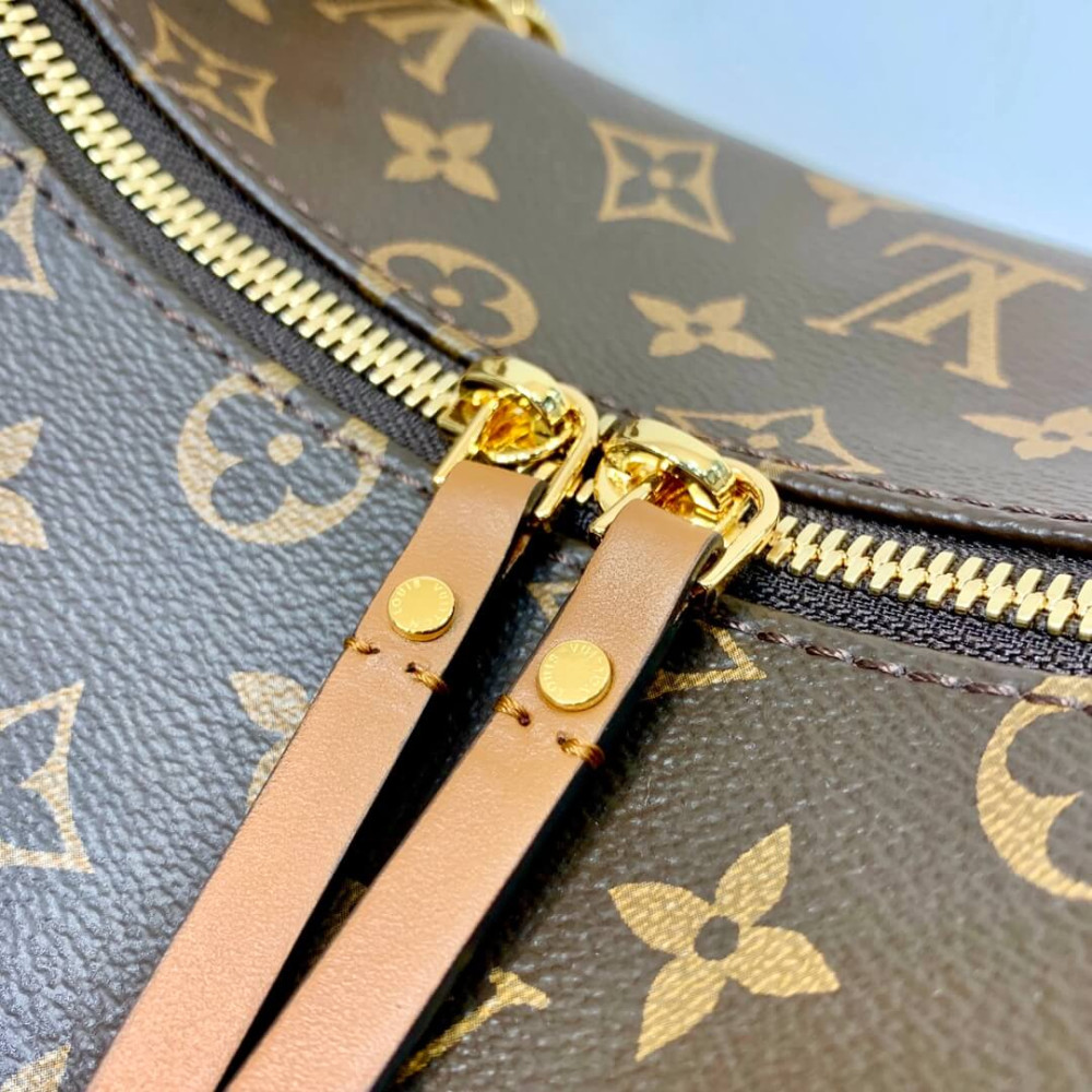 Louis Vuitton Monogram Loop Hobo Bag M46311 Louis Vuitton Monogram Loop Hobo Bag M46311