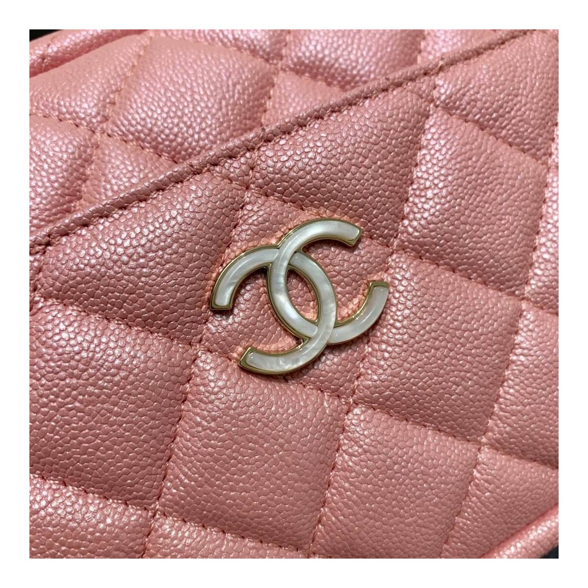 Chanel Camera Case A1003 Chanel Camera Case A1003