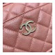 Chanel Camera Case A1003 Chanel Camera Case A1003