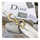Christian Dior Grained Calfskin Saddle Bag M0446
