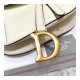 Christian Dior Grained Calfskin Saddle Bag M0446
