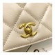Chanel Calf Leather Single Flap Bag AS8869 Chanel Calf Leather Single Flap Bag AS8869