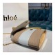 Chloe Small Aby Lock Chain Bag Embossed Lizard Effect S1220 Apricot/White Chloe Small Aby Lock Chain Bag Embossed Lizard Effect S1220 Apricot/White