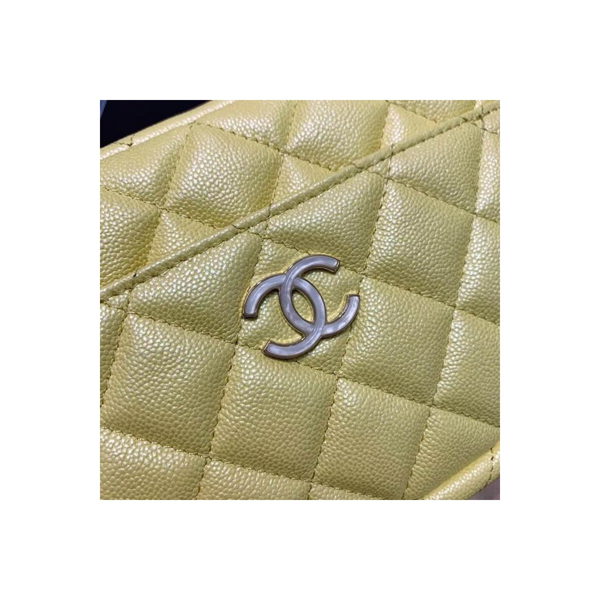 Chanel Camera Case A1003 Chanel Camera Case A1003