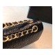 Chanel Alligator Flap Classic Bag 1112 Chanel Alligator Flap Classic Bag 1112