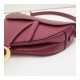Christian Dior Smooth Calfskin Saddle Bag M0446 Christian Dior Smooth Calfskin Saddle Bag M0446