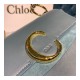 Chloe Small C Bag S199 Chloe Small C Bag S199