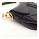 Christian Dior Smooth Calfskin Saddle Bag M0446 Christian Dior Smooth Calfskin Saddle Bag M0446