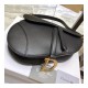 Christian Dior Grained Calfskin Saddle Bag M0446