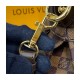 Louis Vuitton Damier Trevi PM Shoulder Bag N51997 Louis Vuitton Damier Trevi PM Shoulder Bag N51997