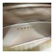 Chanel Camera Case A1003 Chanel Camera Case A1003