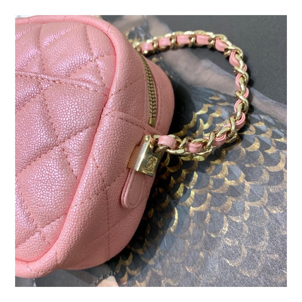 Chanel Camera Case A1003 Chanel Camera Case A1003