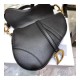 Christian Dior Grained Calfskin Saddle Bag M0446