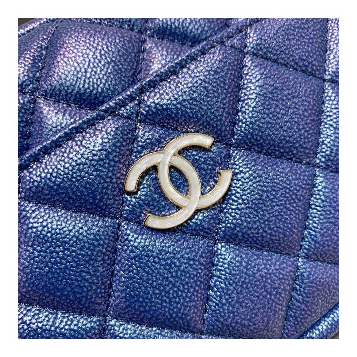 Chanel Camera Case A1003 Chanel Camera Case A1003
