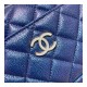Chanel Camera Case A1003 Chanel Camera Case A1003