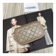Chanel Camera Case A1003 Chanel Camera Case A1003